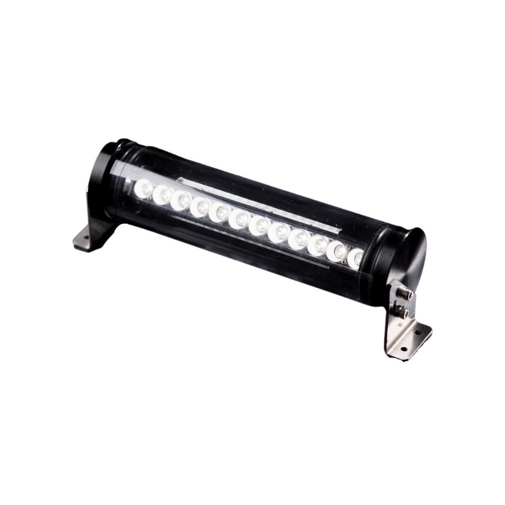 IP-HLBS2
