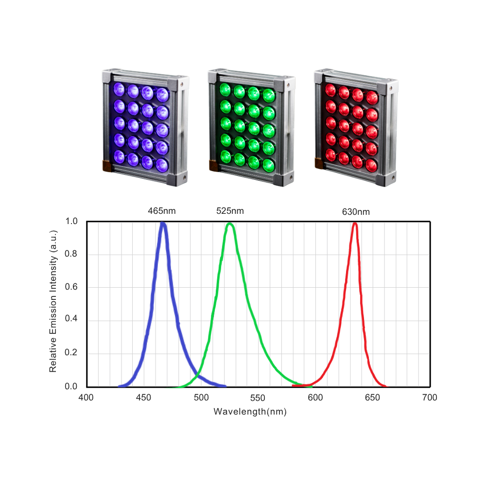RGB ILLUMINATION